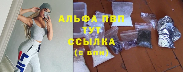 гидра Киренск