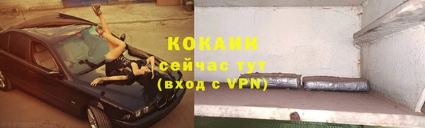 гидра Киренск