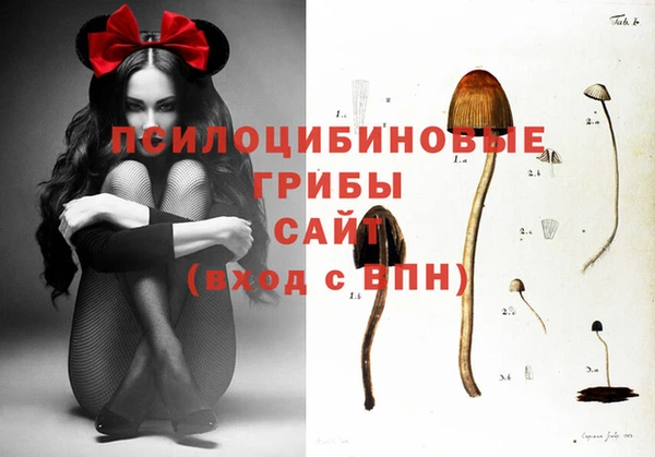apvp Кодинск